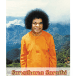 Sanathana Sarathi auf Deutsch – Februar 2025