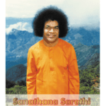 Sanathana Sarathi in italiano – febbraio 2025