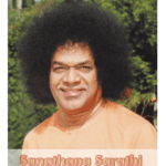 Sanathana Sarathi in italiano – luglio 2025