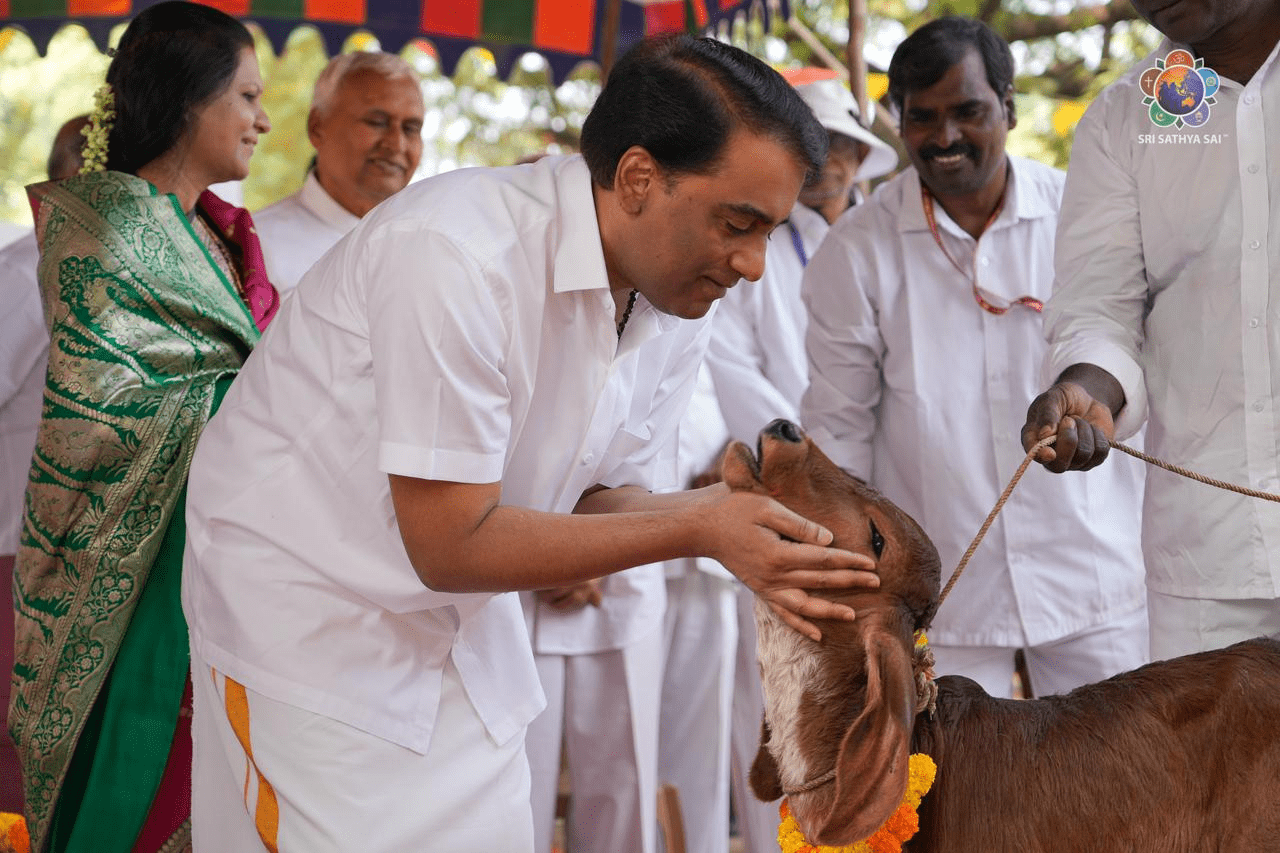 From Sacred Tradition to Sustainable Transformation | Distribution of Gir Cows to Beneficiaries at Sri Sathya Sai Gokulam | Dec 21, 2025