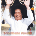 Sanathana Sarathi in Italiano – Novembre 2025